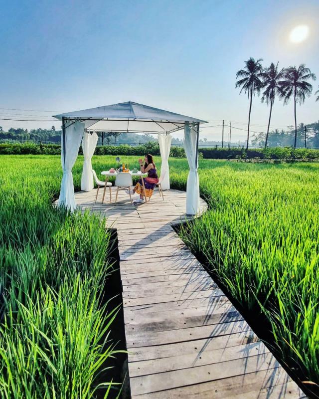 Foto di Tengah Sawah yang Spektakuler