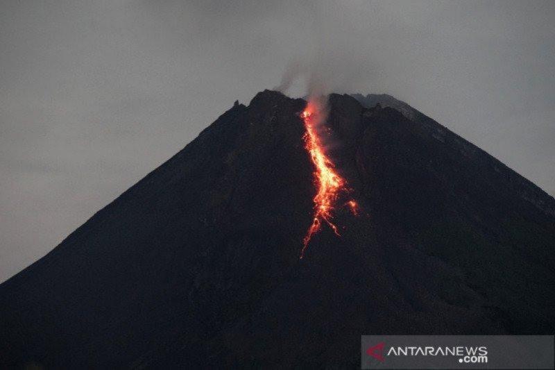 Gunung Merapi 10 Kali Meluncurkan Guguran Lava Pijar