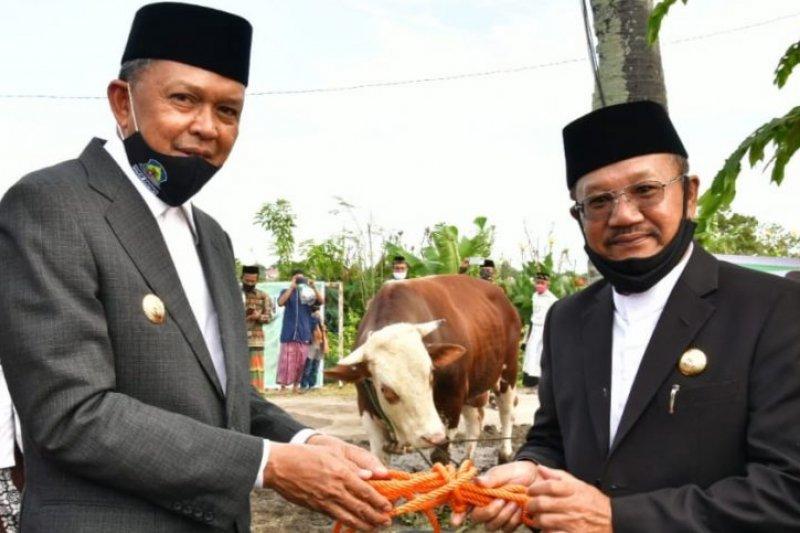 Gubernur Wakili Presiden Serahkan Sapi Kurban di Jeneponto