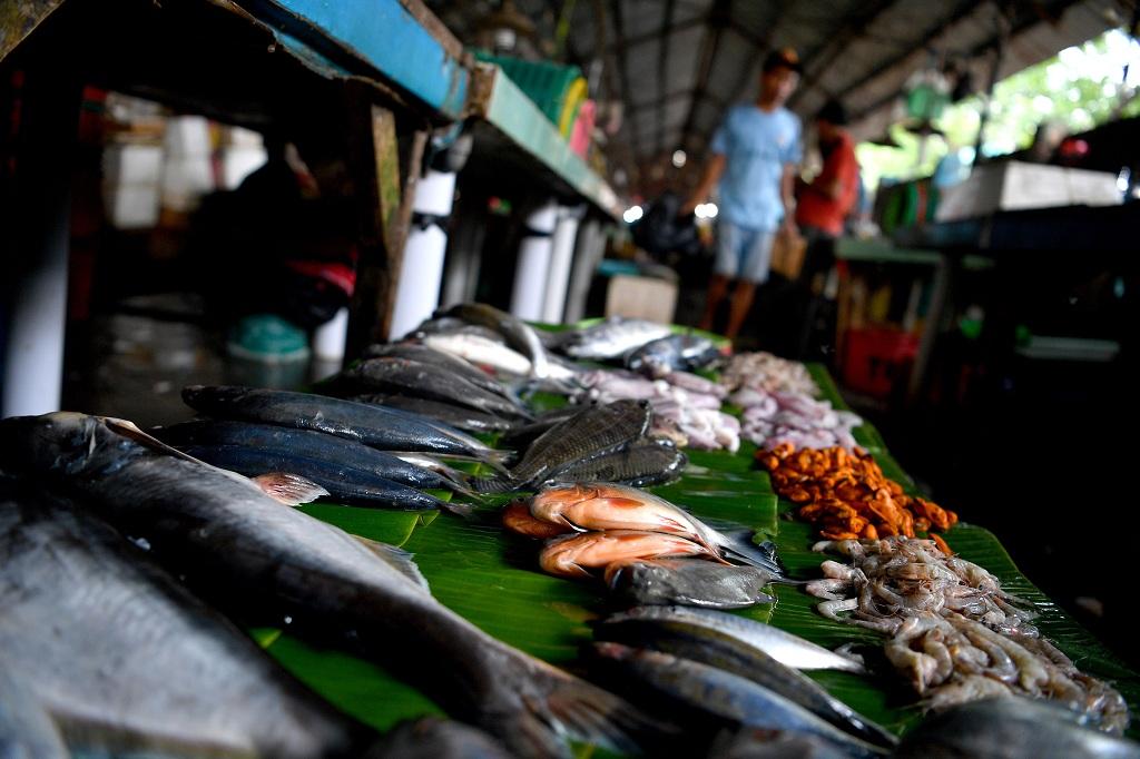 KKP Minta Konsumsi Ikan di Jambi Ditingkatkan