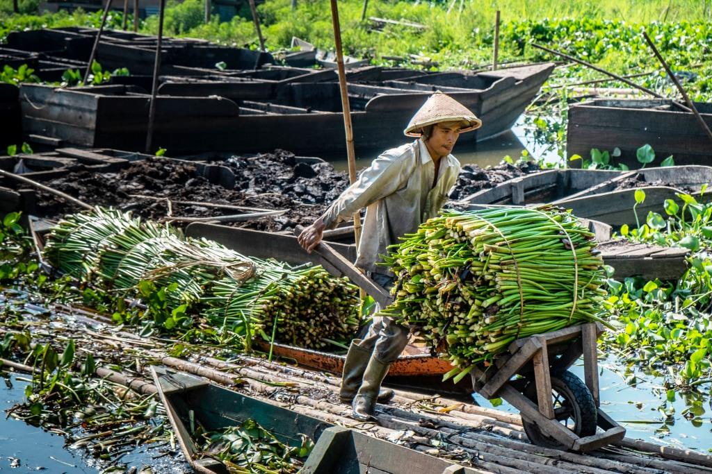 Bahan Kerajinan Gulma