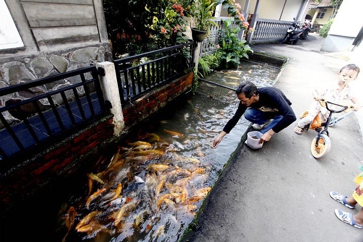 Pemanfaatan Drainase