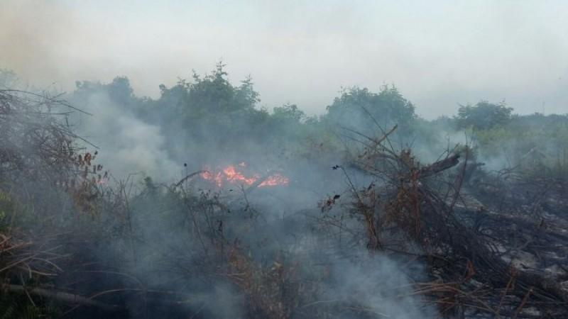 'Hotspot' Riau Diatasi Satgas Karhutla