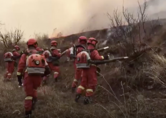 30 Anggota PMK Tiongkok Tewas saat Padamkan Kebakaran Hutan