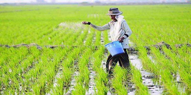 Tingkat Kehilangan Produksi Pertanian Tinggi