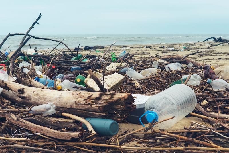 Solusi Mutakhir untuk Mengurangi Polusi Sampah