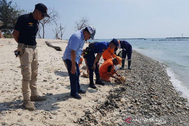 Perairan Kepulauan Seribu Mulai Bersih Dari Tumpahan Minyak