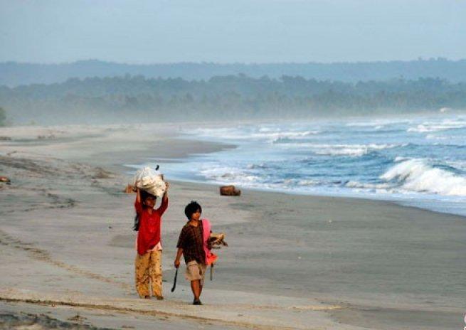 Guncangan Gempa di Laut Jawa Dirasakan di Wilayah yang Luas