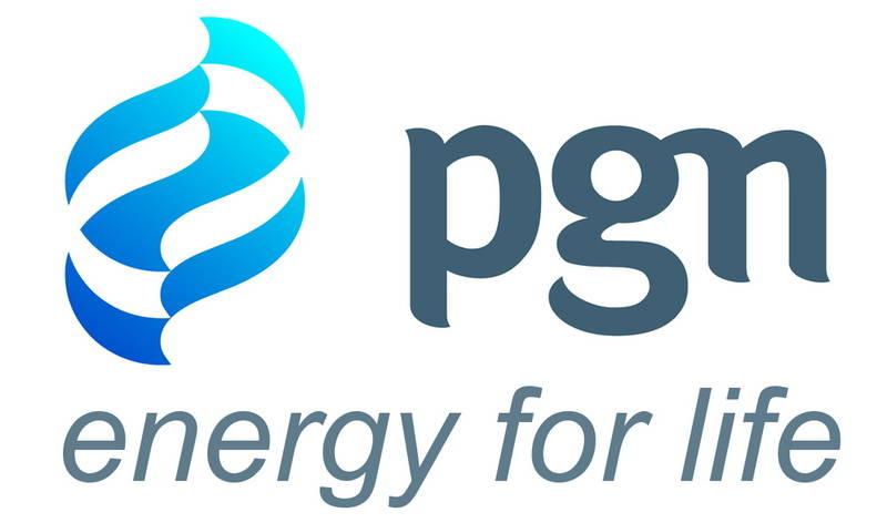 PGN Targetkan Salurkan 975 BBTUD Gas Bumi untuk Domestik