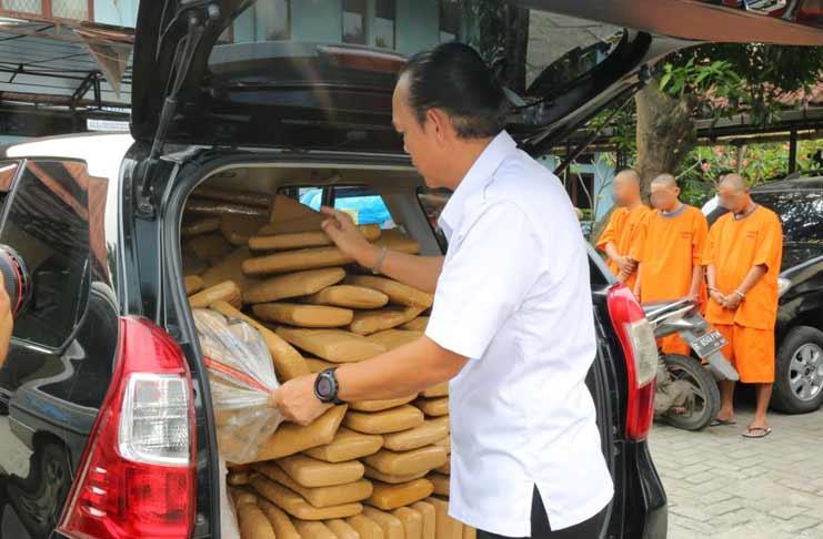 BNN Amankan 300 Kg Ganja