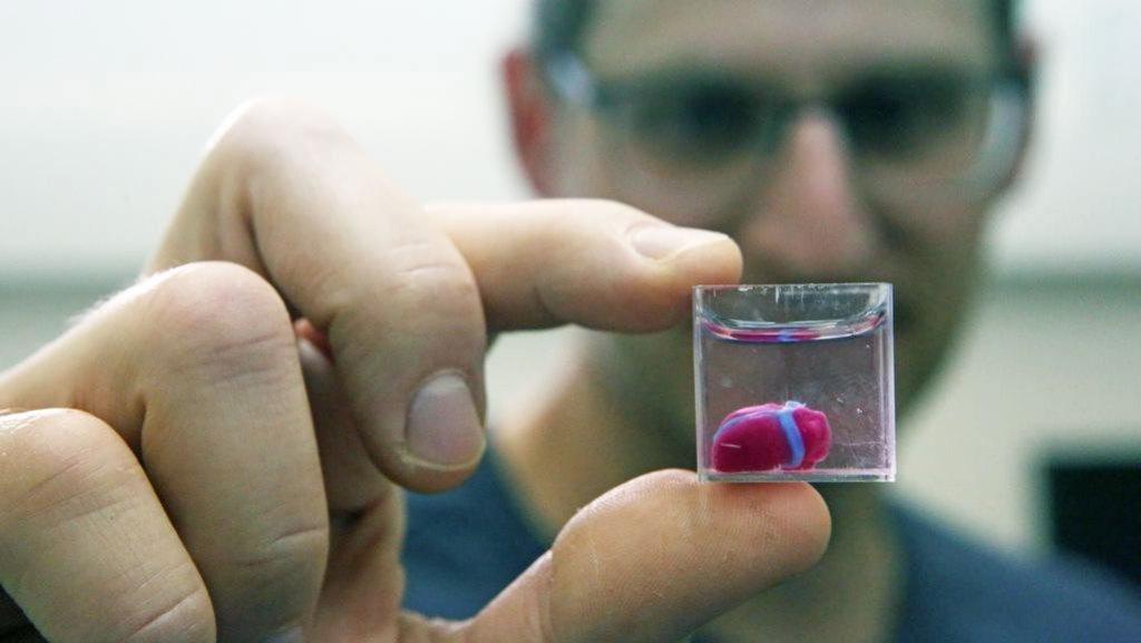 Peneliti Israel Buat Jantung Cetakan dengan Teknik 3D