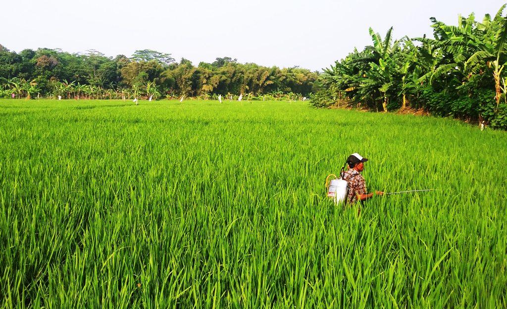 Dorong Produktivitas