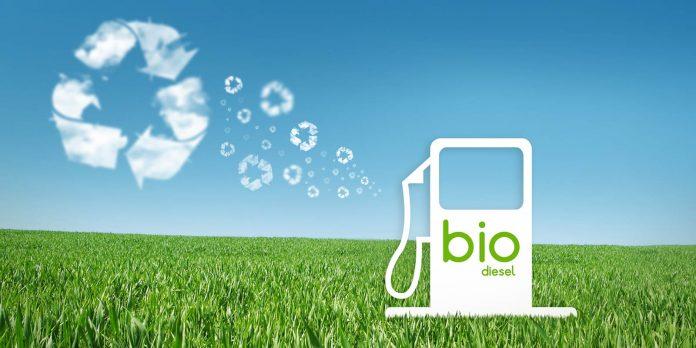 Pemerintah Dukung Pengembangan Energi Biogas