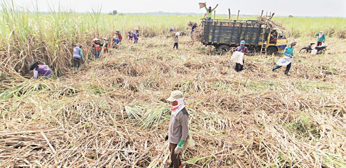 Petani Kesulitan Lunasi Utang