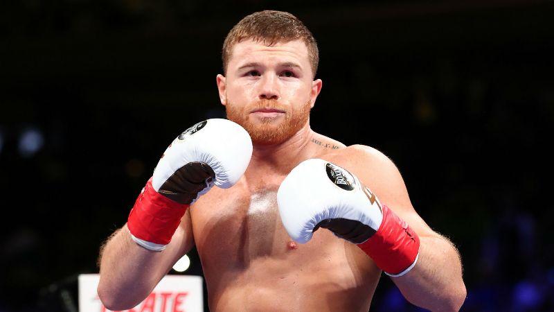 Canelo Alvarez Urung Tarung