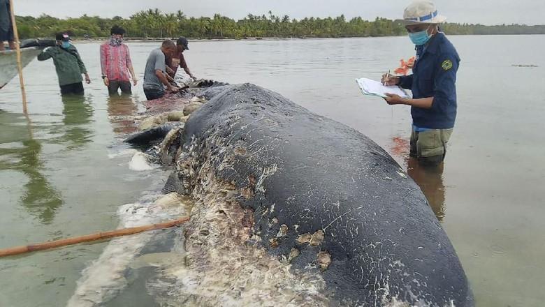 Pemerintah Bahas Sanksi untuk Kurangi Sampah Plastik