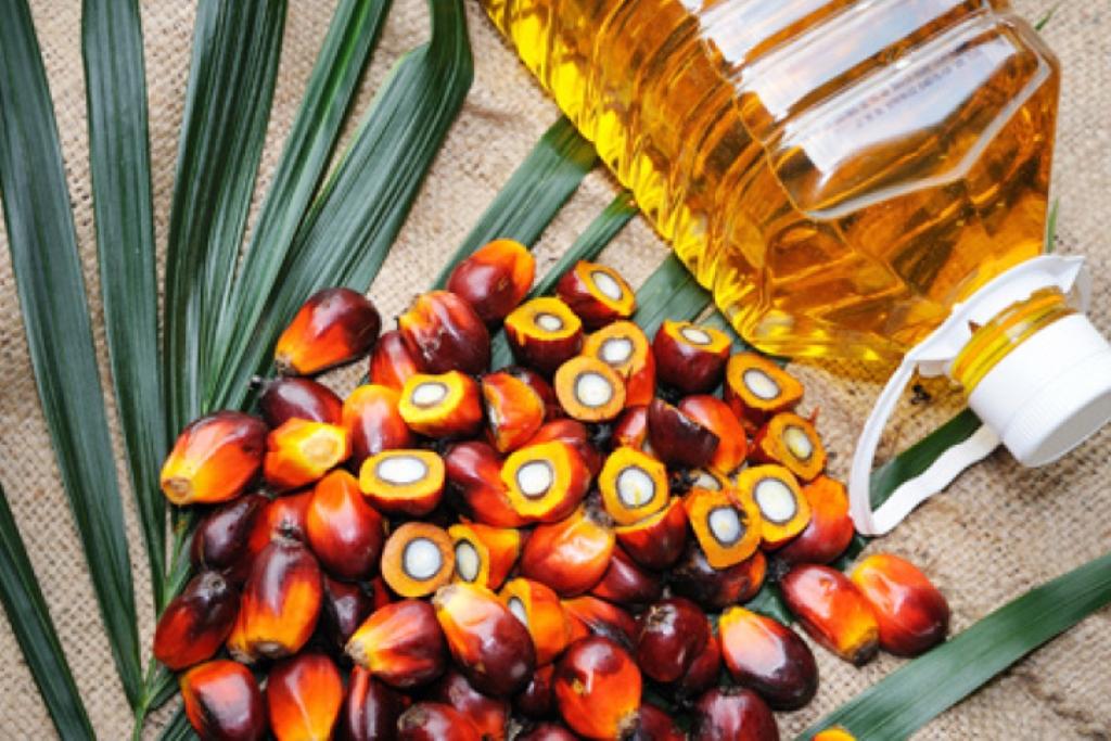Labelisasi Palm Oil Free Bentuk Boikot Produk Sawit