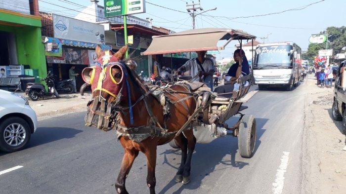 Delman Hambat Laju Mobil Pemudik