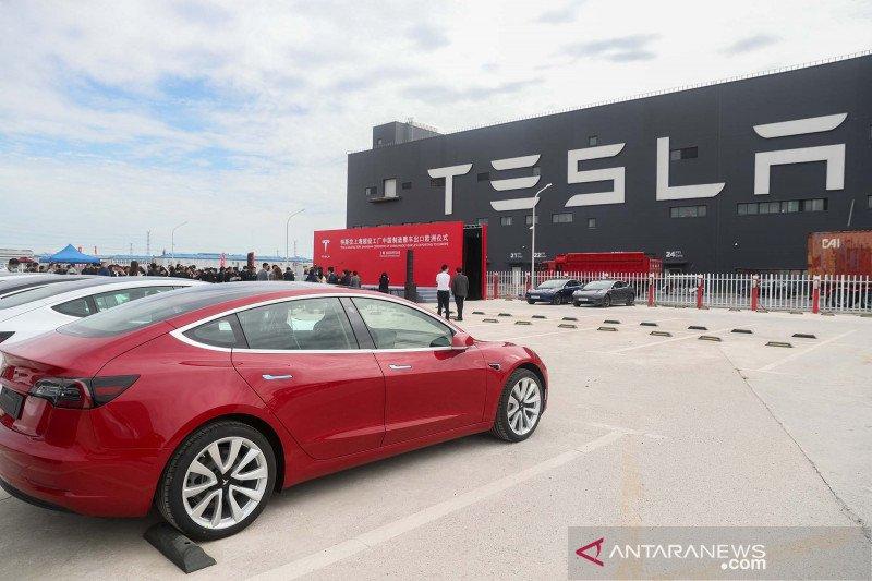 Pemerintah Terima Proposal Investasi dari Tesla