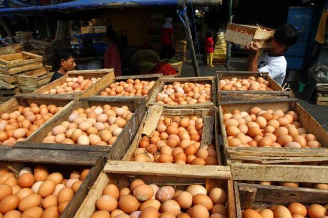 Kenaikan Harga Telur Sarat Anomali