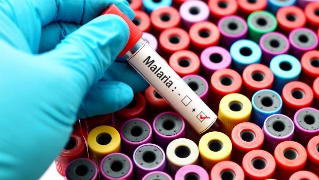 Teknik Identifikasi Baru untuk Mengetahui Infeksi Malaria