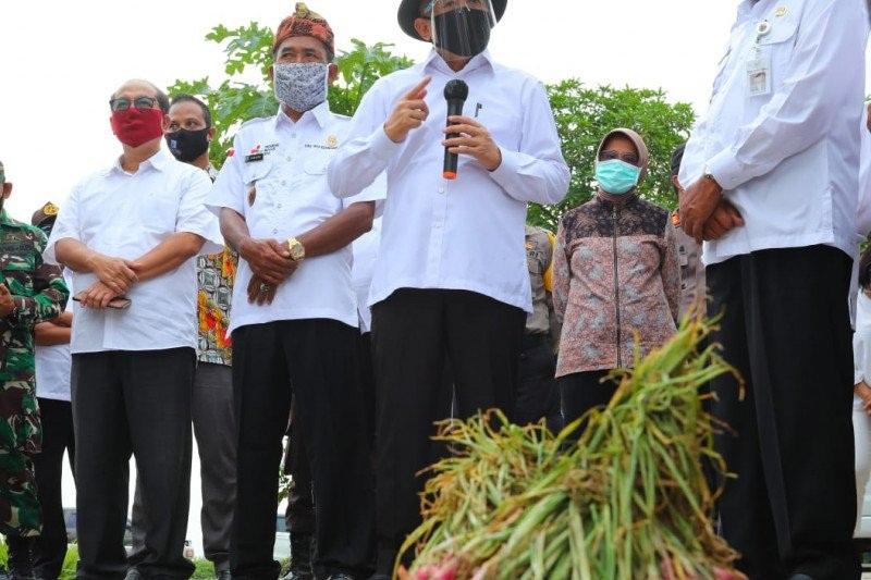 Koperasi Pangan harus Diperkuat