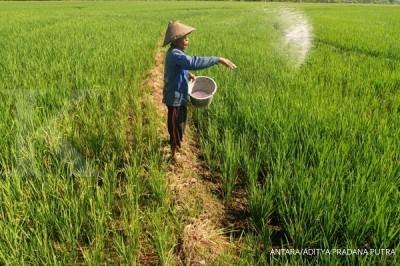 Langkah Sigap Kementan Atasi Kekeringan 