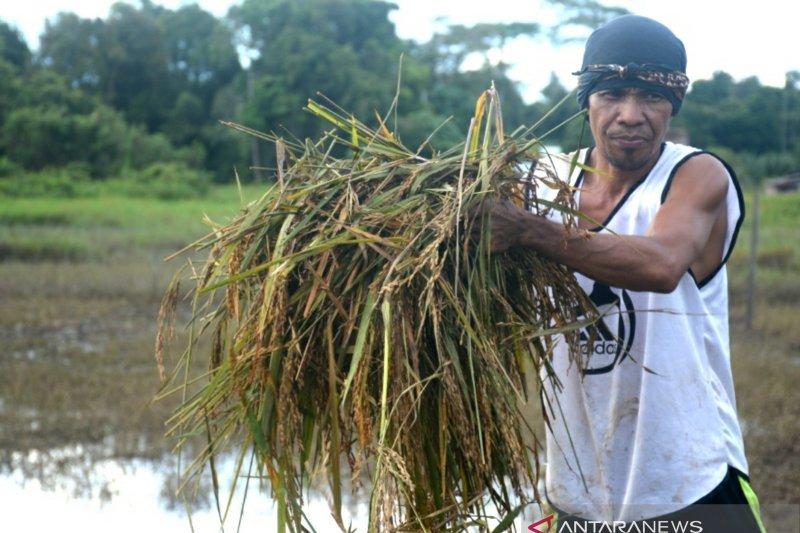 Asa Entaskan Banjir di Sembakung, Satu Sungai Mengalir di Dua Negara