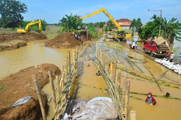 Terdampak Banjir, Petani Kudus Ajukan Klaim Asuransi