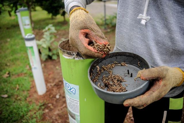 Urban Farming