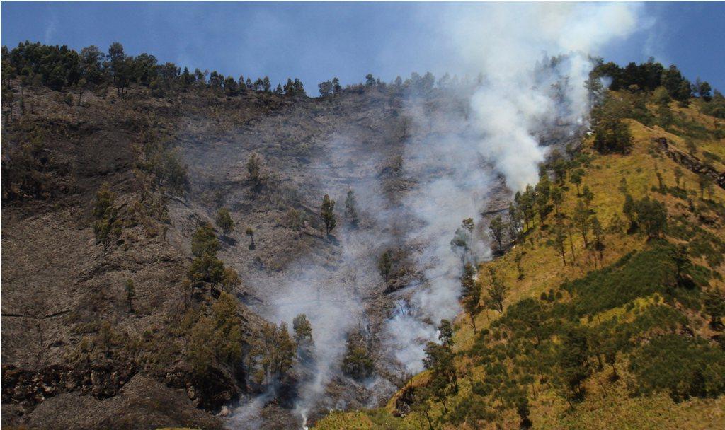 76 Ha Hutan di Kawasan Bromo Terbakar