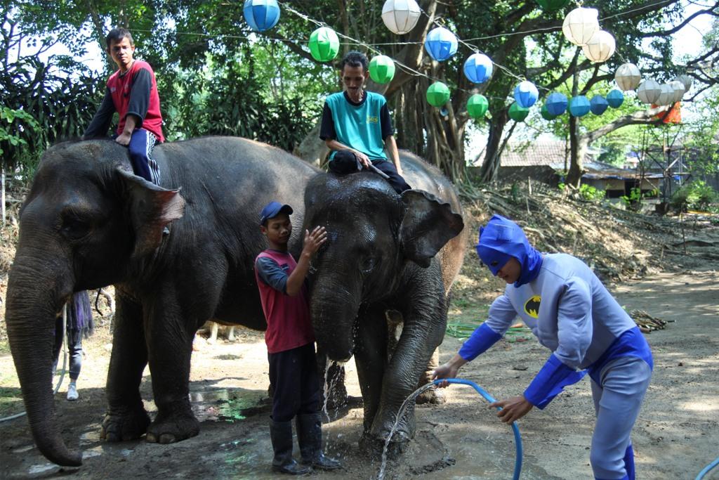 Hari Gajah Sedunia