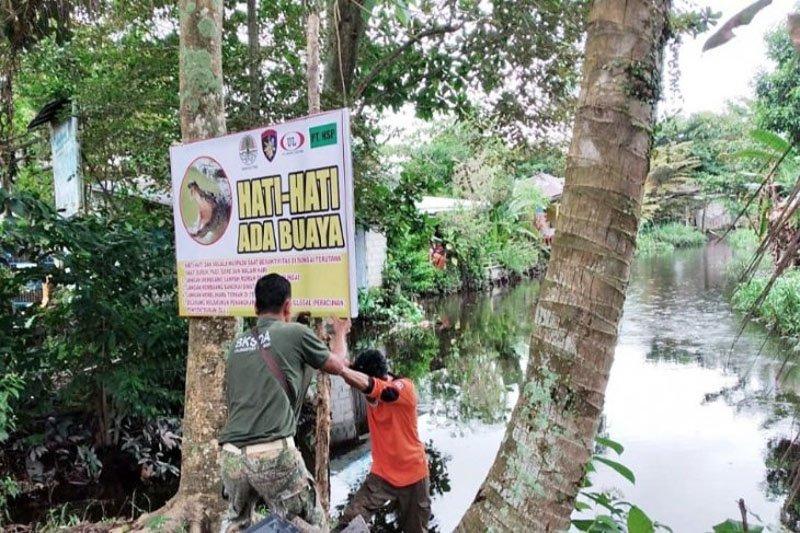 Awas Waspadai Serangan Buaya