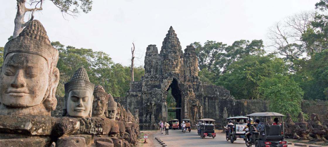 Dianggap Hewan Setia, Siem Reap Larang Perdagangan Daging Anjing