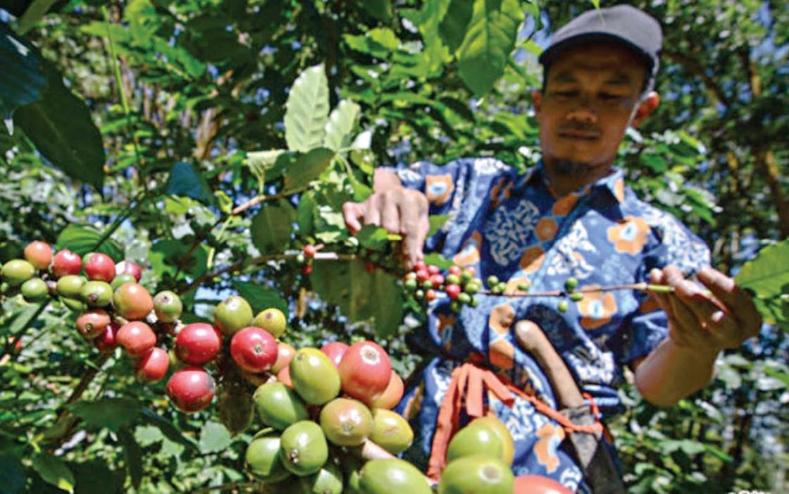 Negara Mesti Lindungi Petani