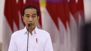 Presiden Jokowi: Kuliah Daring Jadi Next Normal