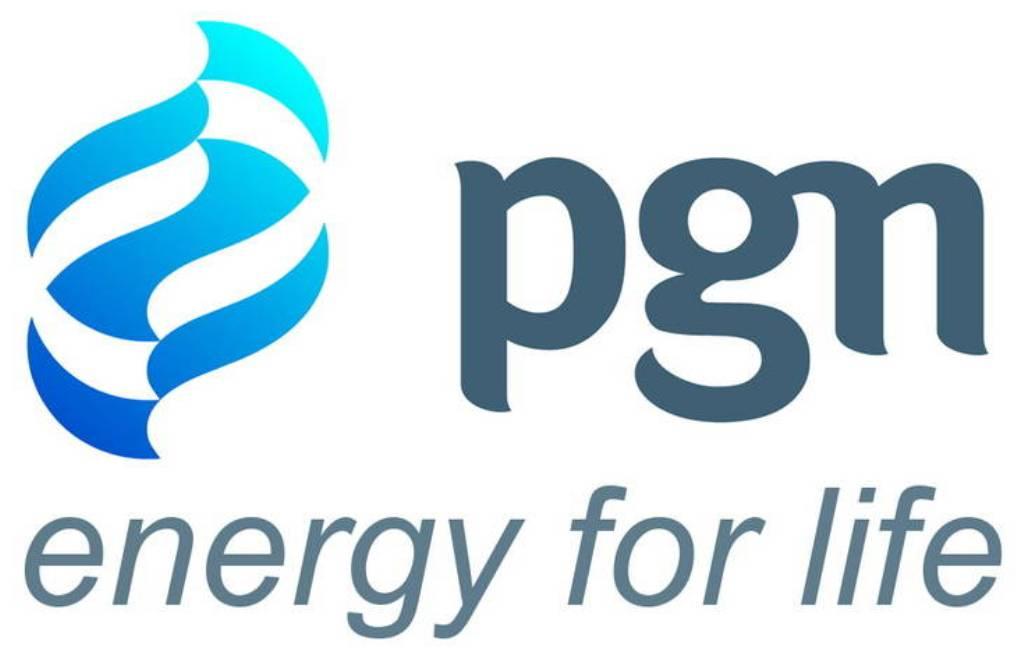 PGN Siap Jalankan Peran Sub Holding Gas