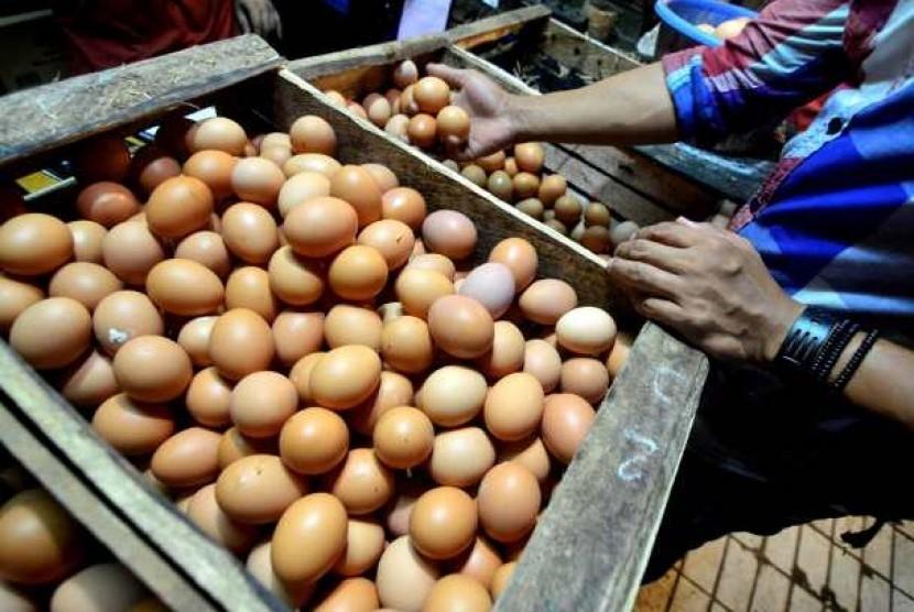 Harga Telur Melambung