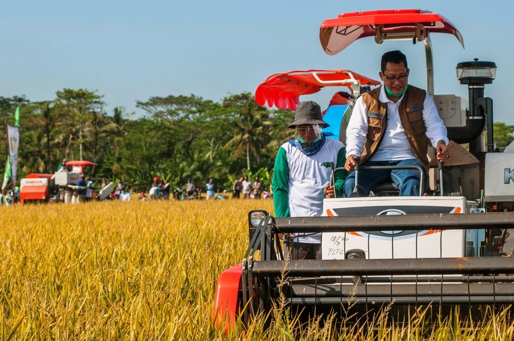 Jaga Stok, Bulog Serap Gabah Petani