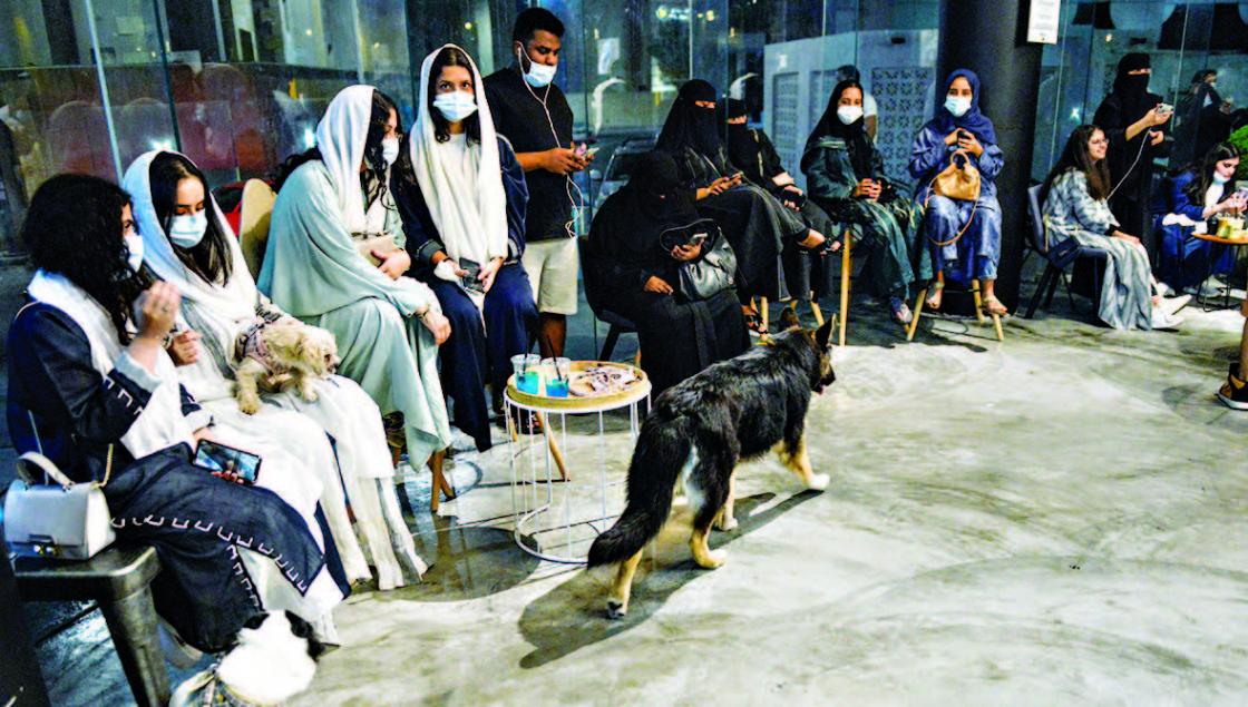 Pencinta Hewan Dunia Sambut Kehadiran Kafe Anjing di Arab Saudi