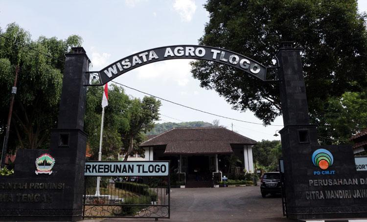 Agrowisata Tlogo Dikembangkan Jadi Kebun Raya