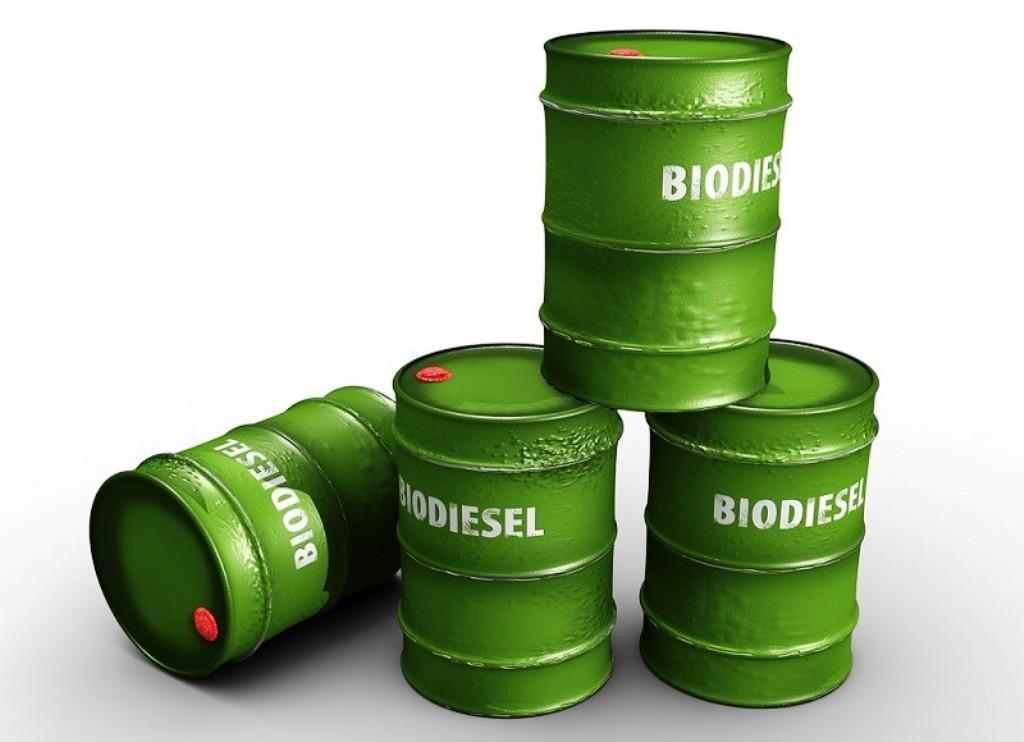 Libatkan Petani di Program Biodiesel