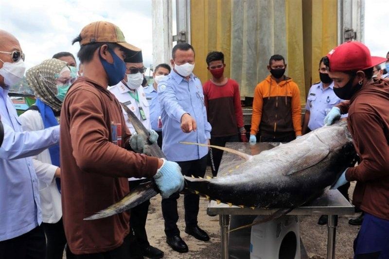 Pemkab Parigi Moutong Jadikan Ikan Sebagai Penopang Utama Ketahanan Pangan