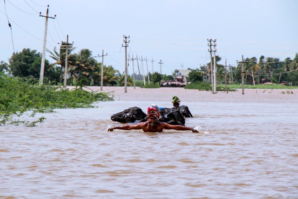 Bencana Banjir di India Tewaskan 184 Jiwa