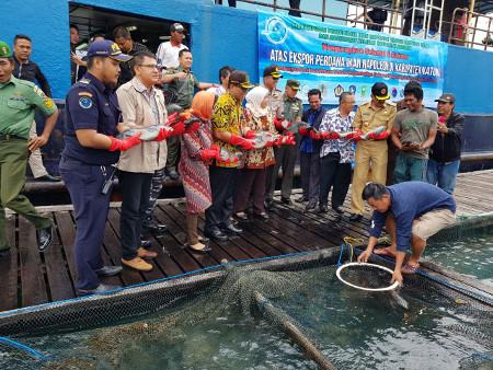 Ekspor Ikan dari Natuna Diatur