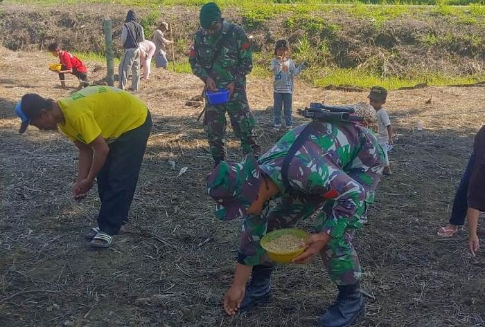 Satgas 754 Kostrad Bantu Warga Menanam Padi Gogo