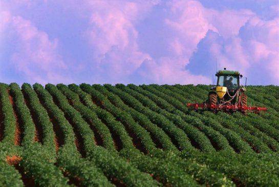 Corporate Farming Model Bisnis Masa Depan