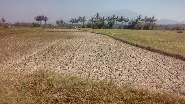 Kekurangan Air Mulai Terjadi