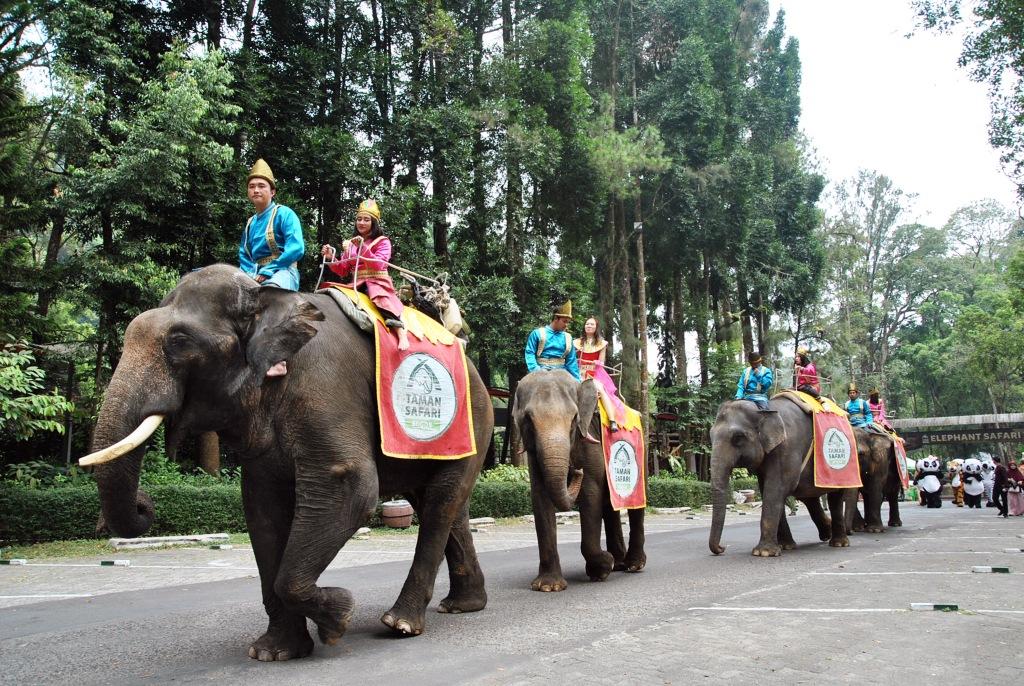 Parade Gajah