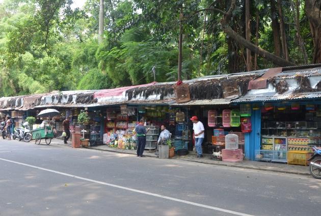 Pasar Burung Barito Bakal Digusur